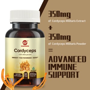GANOHERB Cordyceps Capsules Extract Supplement Powder nga adunay 31% Beta Glucan alang sa Performance ug Immune System Support