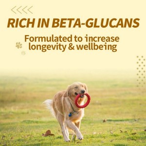 Ganoherb Reishi Mushroom Powder Supplement for Dogs and Cats