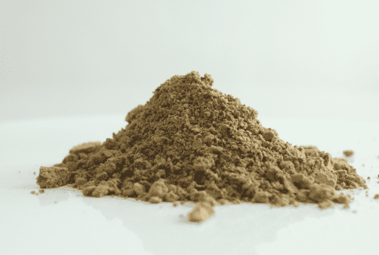 Coriolus Versicolor Powder Featured Image