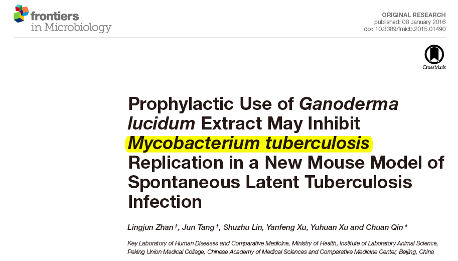 Ganoderma lucidum voi ehkäistä tuberkuloosia