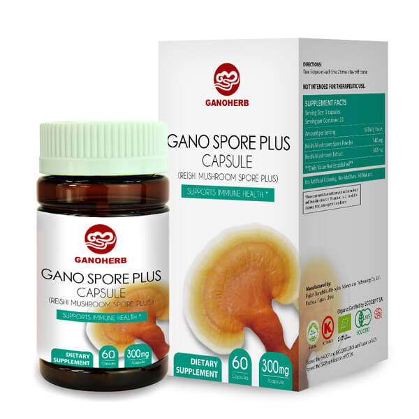factory customized Reishi Extract Capsules - Ganoderma Lucidum Bulk Spore Extract Powder Reishi Mushroom Powder – GanoHerb detail pictures