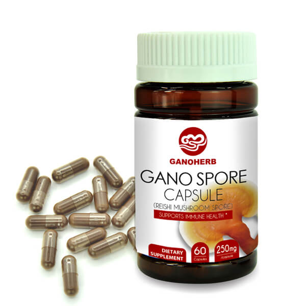 Factory making Cancer/Organic Reishi Lingzhi Extract - Gano spore capsule – GanoHerb