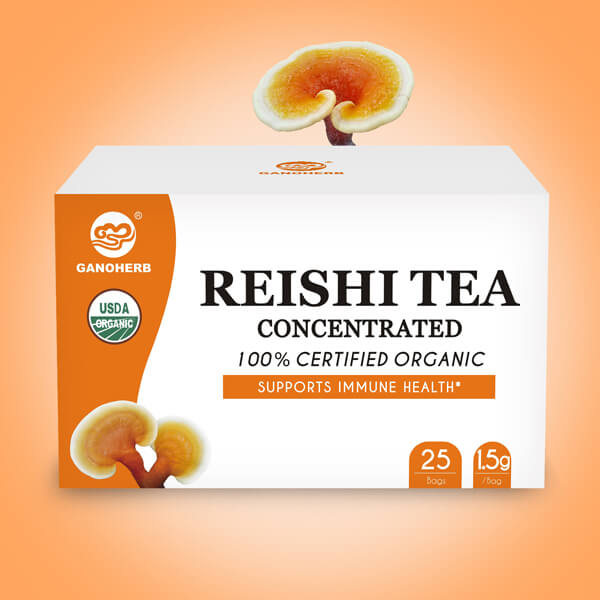 Wholesale Ganoderma Malaysia Capsule - GANOHERB USDA Organic Reishi Mushroom Tea with 100% Ganodema Herbal for Boost Immune System-Vegan, Paleo, Gluten Free,All Natural,No Sugar, 0.05 Ounce (25 Count)   – GanoHerb