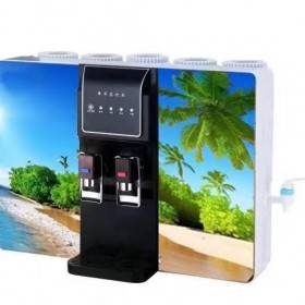 wall mounted 5 stage hot and normal RO water purifier water dispenser