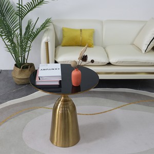 The Electroplated brushed Gold Hardware Coffee Table