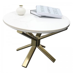 White Slate Gold Ronud Metal Coffee Table