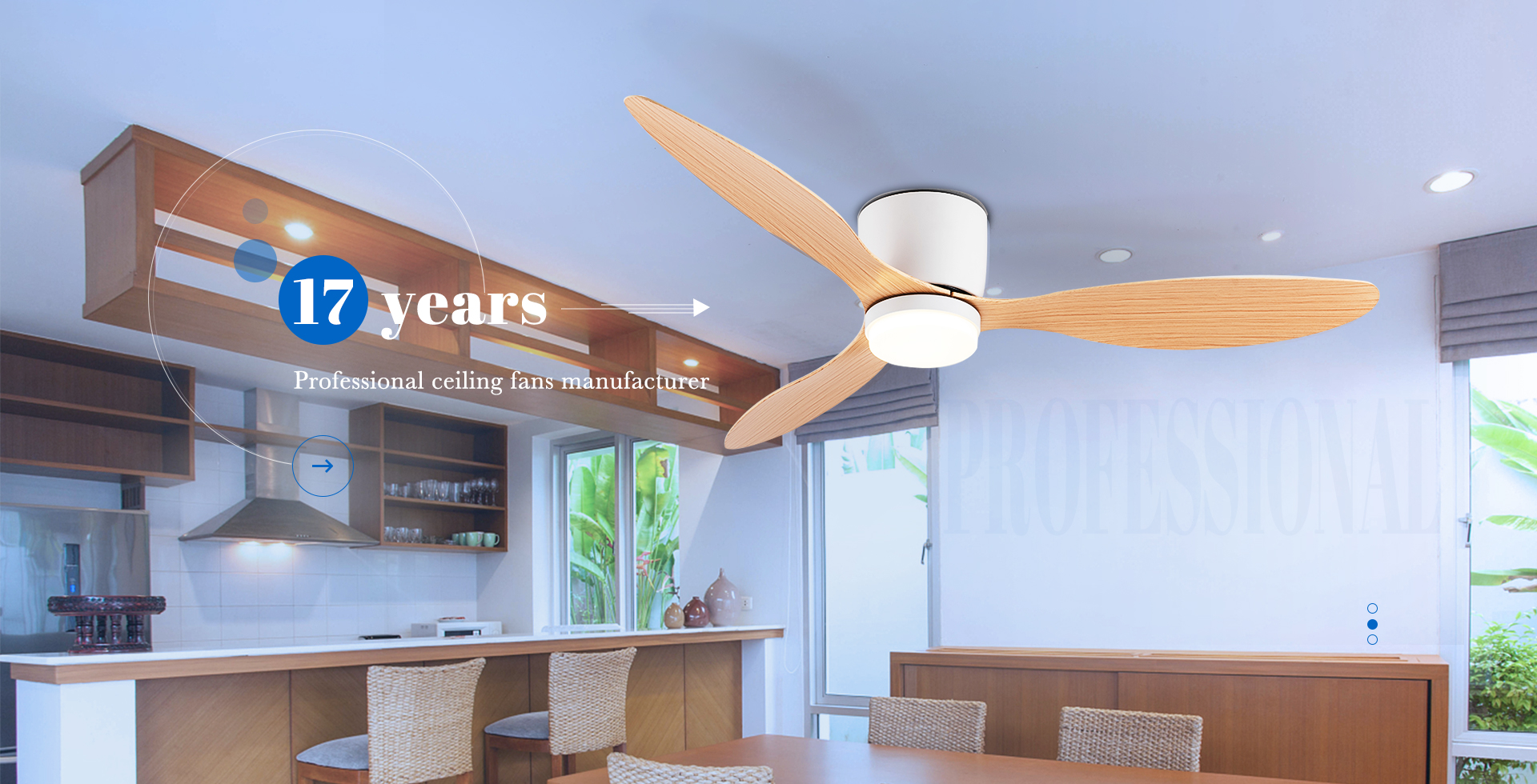 professional manufacturer of ceiling fans