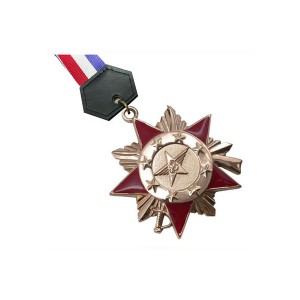 정부를위한 주문품의 도금 골드 부드러운 에나멜 명예의 메달
