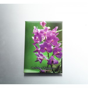 Gėlių skardos šaldytuvas magnetas reklamos dovanos