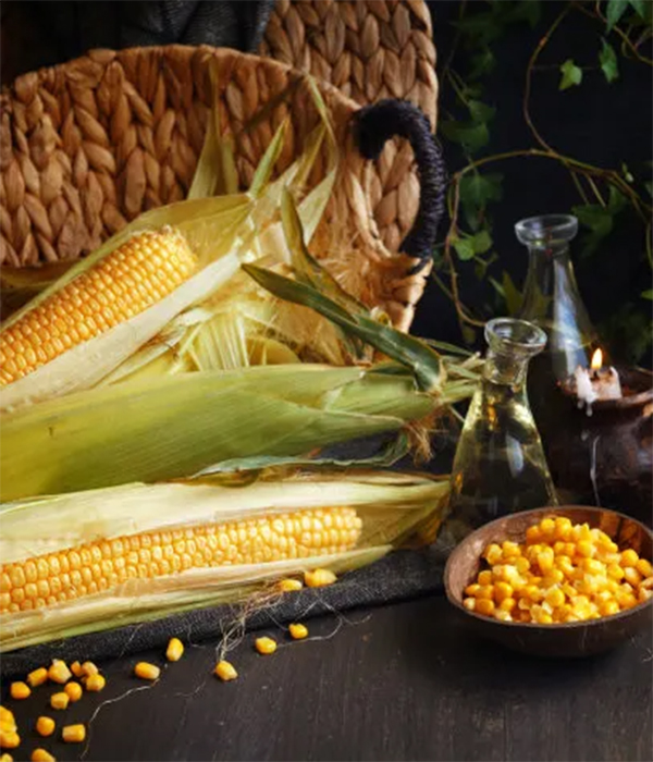 Serie de fertilizantes especiales FERLIKISS aplicados al maíz