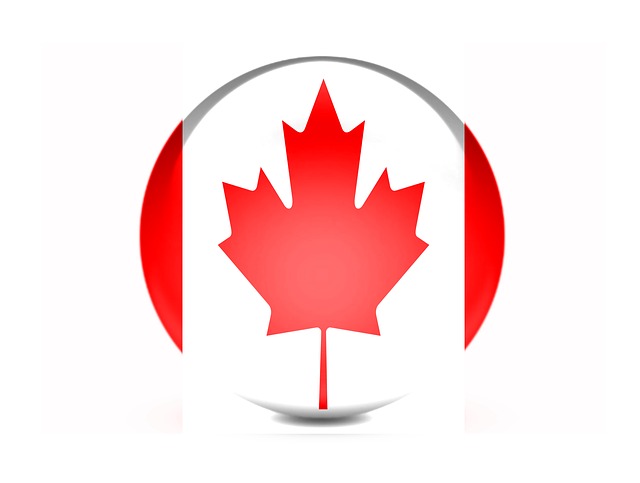 Сведоштво на клиентите од Канада кои користат машина за ласерско сечење цевки.