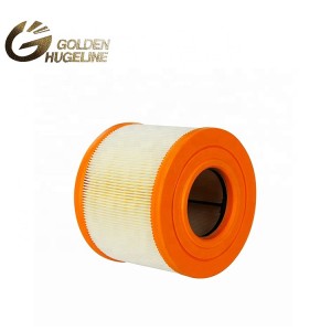 High Quality Auto Parts 13717536006 air filter