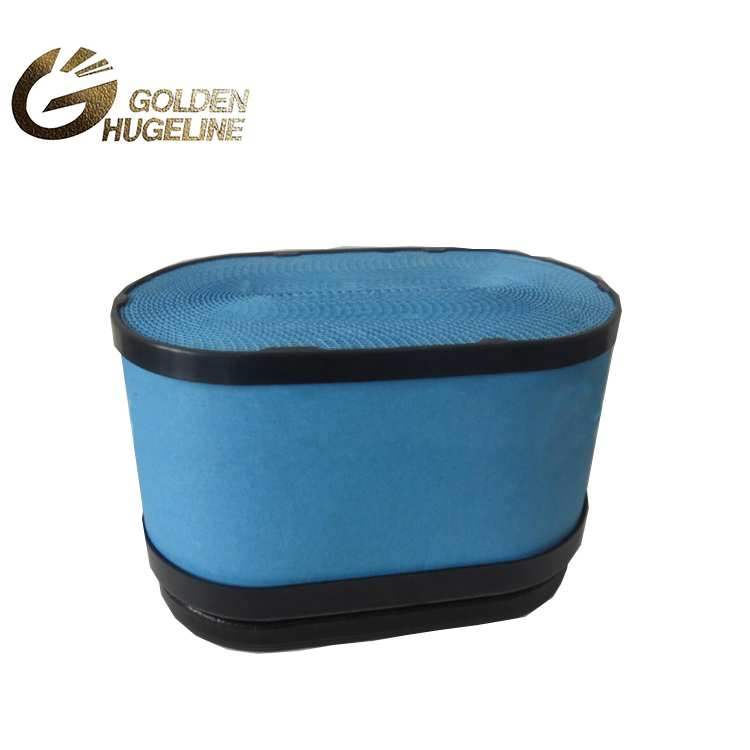 Leading Manufacturer for Tea Filter Bag With String - high flow air intake filter P604273 auto engine air intake air filter element – GOLDENHUGELINE