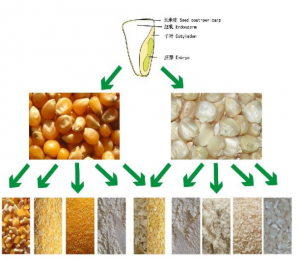 Working principle and structure of corn flour mill machine