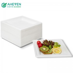 China New Product Biodegradable Bagasse Plates - Wholesale Environment Friendly Disposable Bagasse Square Plates in 9 inch – Yien