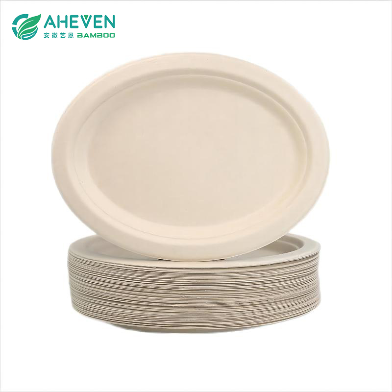 Oval Shape Sugarcane Bagasse Disposable Square Plates in 10 inch Featured Image