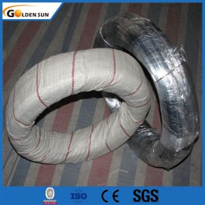 Low Price High Quality BWG 20 21 22 GI Galvanized Binding Wire