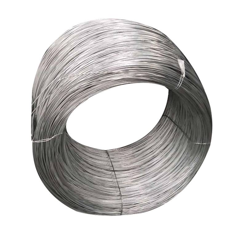 Fast delivery Iron Angle Unequal Manufacturer - 18 gauge electric galvanized binding wire – Goldensun
