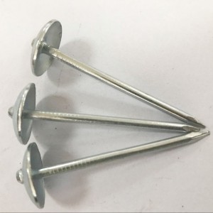 Umbrella Head Roofing Nails/Corrugated Nails Galvanized Twisted Shank