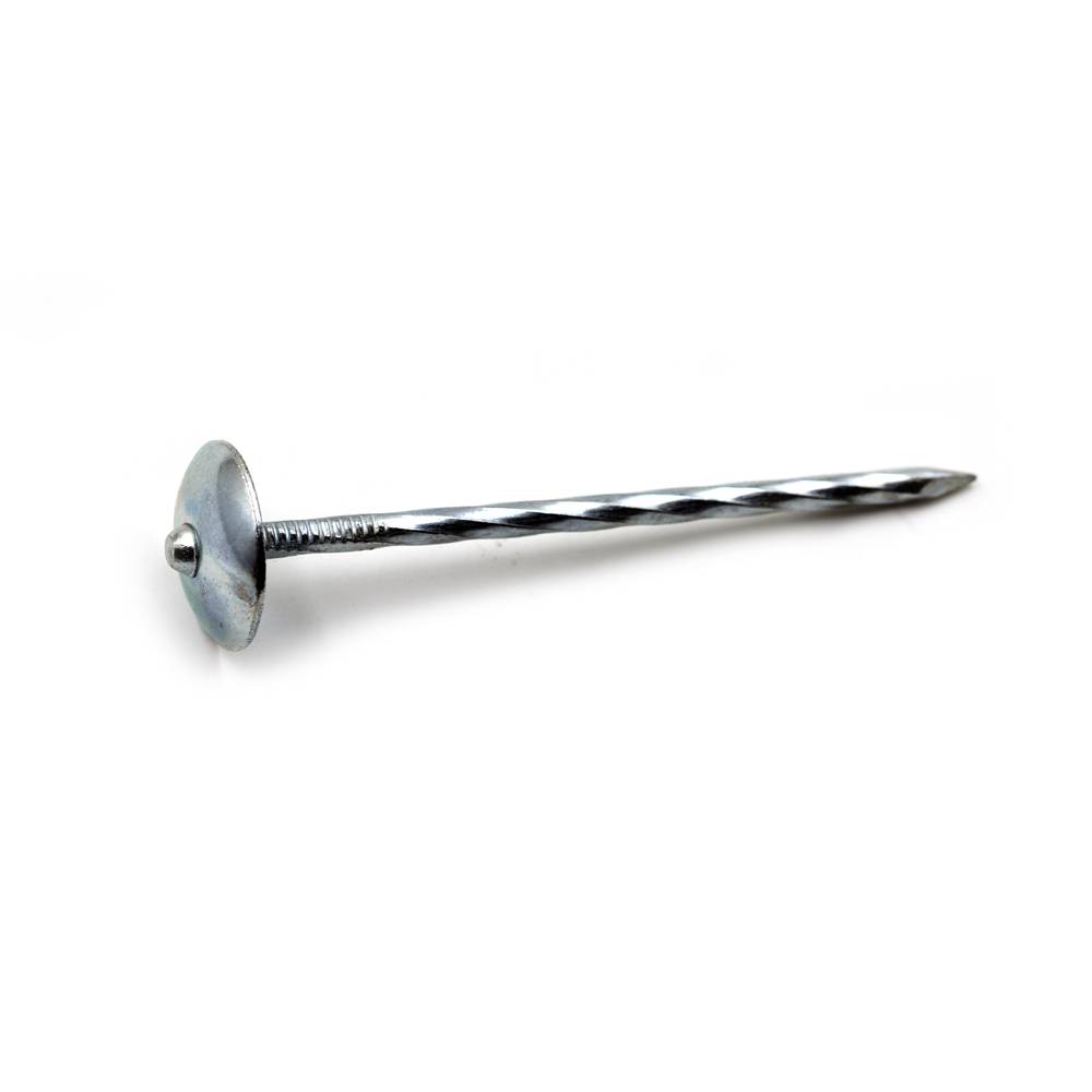 OEM Manufacturer Gi Steel Strip - Galvanized Zinc plating, polishing umbrella head roofing nails with washer – Goldensun