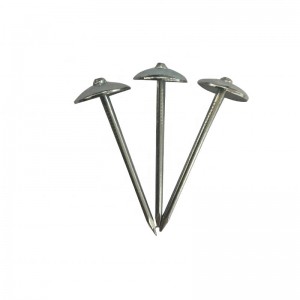 Umbrella Head Roofing Nails with Galvanized Twisted Shank