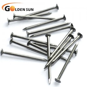 China manufacturer polish round iron wire nails
