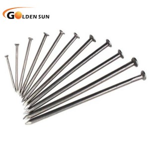 Common Iron Nail For Wood Construction
