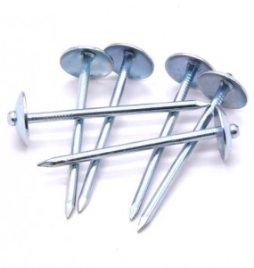 Q195 factory price electro galvanized umbrella nails roofing nail