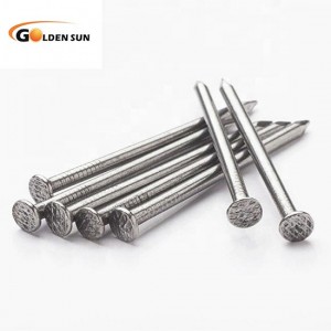 Factory Price Common Nail Iron Nail Customized Various Sizes of Steel Nails
