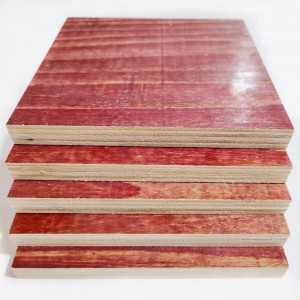 18 Mm Veneer Pine Shutter Plywood