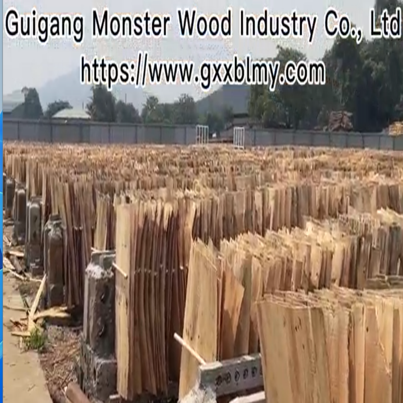 Informacje o leśnictwie Guigang
