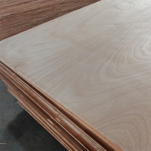 Top Quality Ecological board with Eucalyptus Poplar and Melamine Plates Material