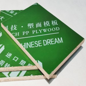 Green Plastic Faced Plywood/PP Plastic Coated P...