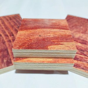 Construção de madeira compensada de cofragem vermelha/concreto