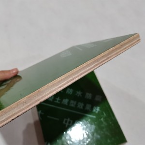 Green Plastic Faced Plywood/PP Plastic Coated Plywood Panel