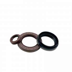TRANSPEED 6DCT250 DPS6 Oil Seal