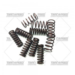 TRANSPEED 6DCT450 MPS6 Transmission Clutch Springs Repair Kit