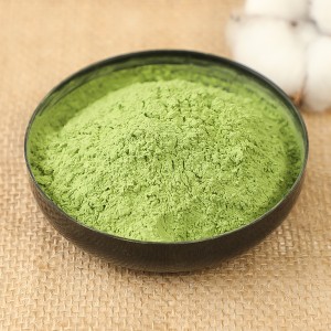 HACCP Supplier Wholesale Organic Natural Kale Powder