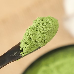 HACCP Fournisseur Grousshandel Bio Natural Kale Pudder