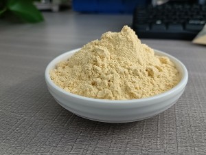 Spray Dried Sea Buckthorn Powder