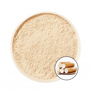 Natural Plant Wild Yam Root Extract Powder