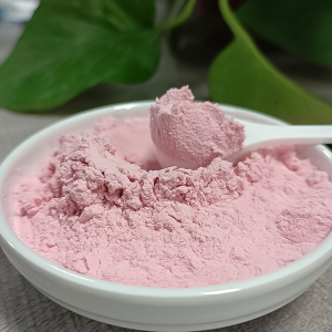 Manufacturers direct supply pomegranate powder