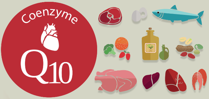 The Power of Coenzyme Q10: Unveiling its Benefits and Uses