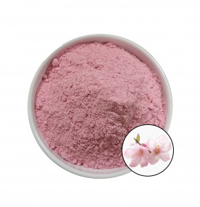 The factory supplies  cherry blossom powder