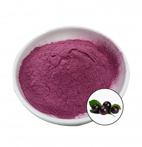 CE Certificate 100% Natural Freeze Dried Acai Berry Powder