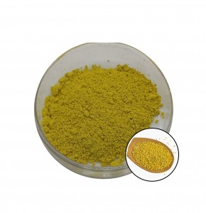 Sophora Japonica Extract  NF11 Rutin Powder