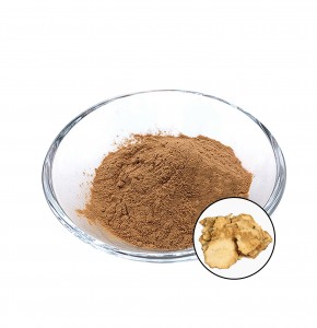Poria cocos extract manufacturers supplier