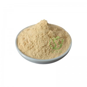 Wholesale Instant Persimmon Powder