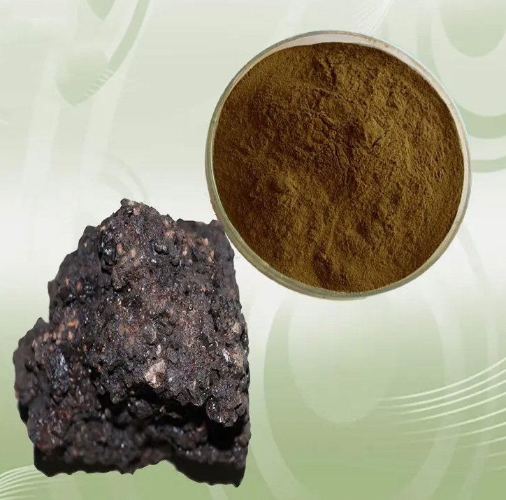 Unveiling the Applications and Benefits of Shilajit