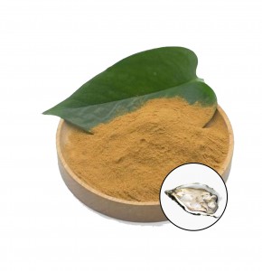 High  Quality  oyster extract powder  with  Best  Price